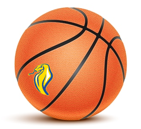 Midnight Madness Basketball Cobra.png